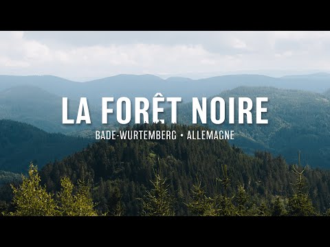 A la découverte de la Forêt Noire avec Refuse to hibernate