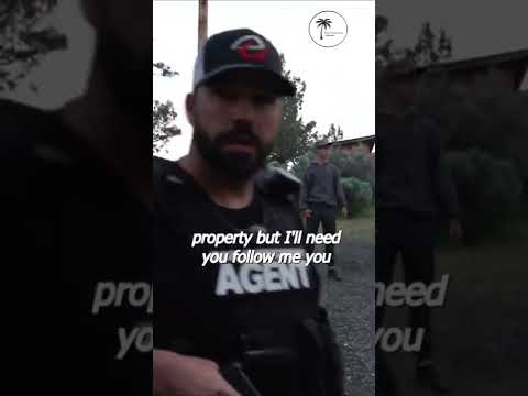 Bail Bond Arrest - Call your father #short