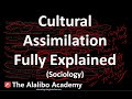 Cultural Assimilation Concepts and Differences