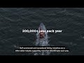 Gulf of Mexico Environmental Issues