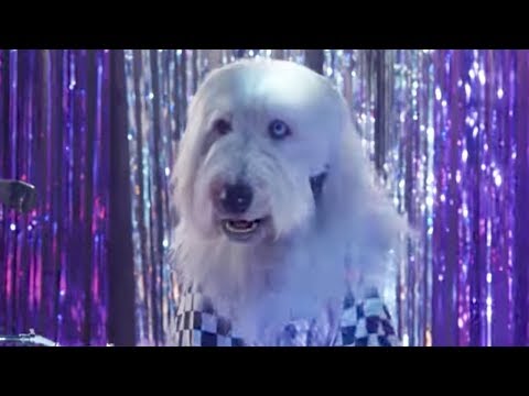 Music Video - Shake Your Tail