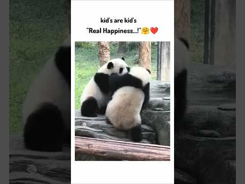 Real Happiness...!🤗❤️ !! #shortsvideo #animals #cute #ytshorts #viralvideo #shorts #youtube #funny