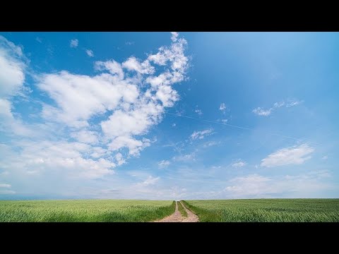 Weather Europe Today (2025/08/11)