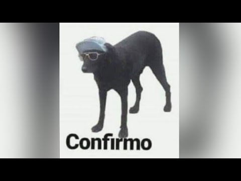MEMES MUY XD #46