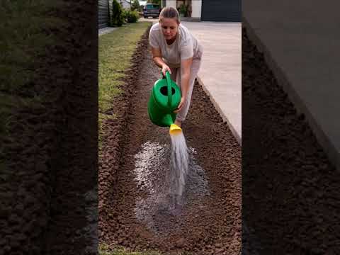 Why People Are Burying Egg Cartons in the Garden