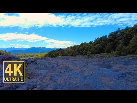 Colorful Wide Valley Nature Walk 4K (With Ambient Nature Sounds And Music)