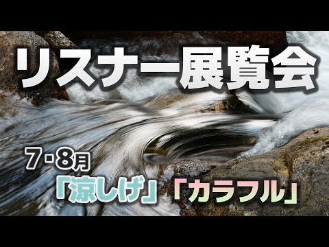 【2025/7~8月】リスナー展覧会「涼しげ」「カラフル」で募集した写真を紹介！