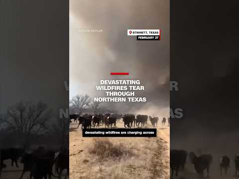 Devastating wildfires tear through northern Texas