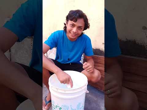 Pescada Corvina - Porque o Mundo Continua Girando #experimento #biologia #física #educação #ciência