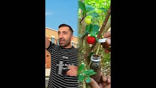 #youtubeshorts #youtube #youtubeshort