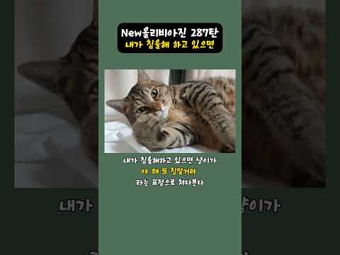 New올리비아진 287탄 - 내가 침울해 하고 있으면