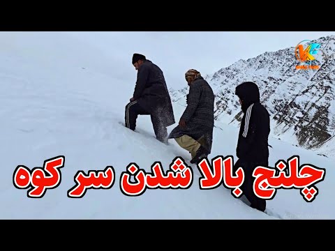 سفر زمستانی - چلنج بالا شدن سر کوه - نزدیک بود شکار گرگ شویم 🥶