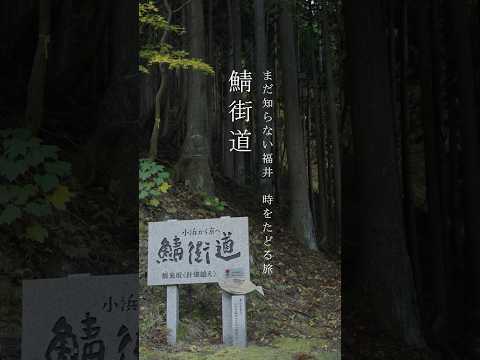 まだ知らない福井｜時をたどる旅「鯖街道」 #shorts
