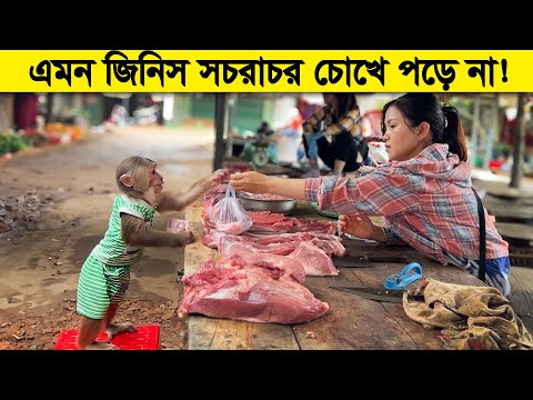 বানরের মাথায় যে কত বুদ্ধি ধরে এই ভিডিওটাই তার প্রমান !