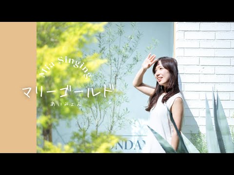 11/25㈯渋谷ライブ出演します！/マリーゴールド/あいみょん / Mia Singing  #歌ってみた #cover