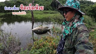 ออกหมานรอบนี้หมานทั้งปลาเขื่อนปลาห้วย บ่ค่ำบ่กลับ