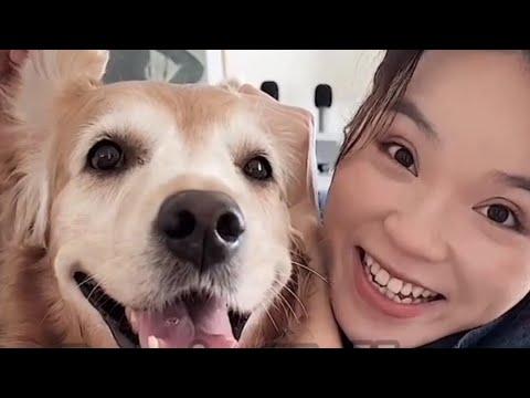 कुत्ते 🐕 ने किया कमाल 🫢🫢😭😭 Part 1 and 2 #trending #chineseshortvideos #funny ,most viral video