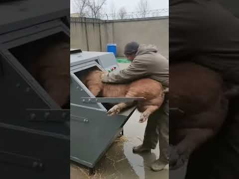 technology is not always bad!