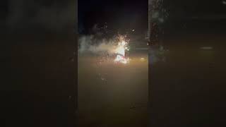 Happy Independence Day 2026 vlog