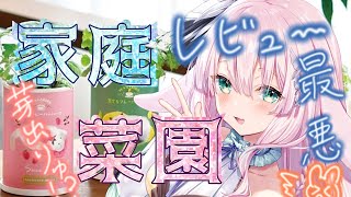 今日は野菜の日！家庭菜園は想像以上に難しいらしい【兎和フィオナ/  #新人vtuber】