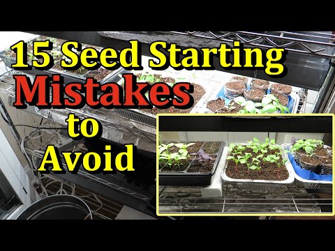 The 15 Biggest Mistakes Gardeners Make Starting Seeds Indoors (And How to Avoid Them)