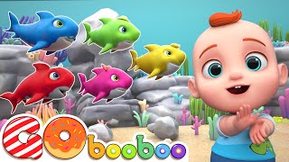Tubarõezinhos🦈 | Vamos Contar de 1 a 10 | Canções Para Crianças | GoBooBoo em Português