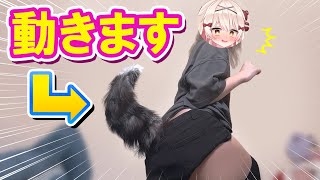 犬になれる⁉️自動でブンブン動く犬の尻尾を手に入れたので装着してみよう‼️💥‼️【べあもりゆるも / beamoriyurumo】