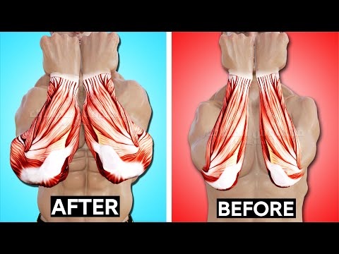 6 BEST Exercises for Bigger Forearms Workout