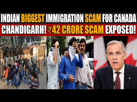 Indian Biggest Immigration Scam For Canada | Chandigarh! ₹42 Crore Scam Exposed!