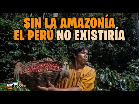 Sin la amazonia el Perú no existiría  CENTRÍFUGOS