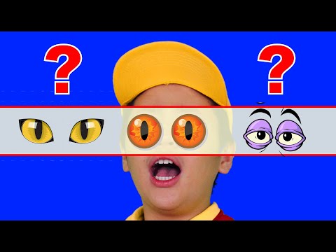 Where Are My Eyes Song & More | Kids Funny Songs