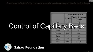 Control of Capillary Beds