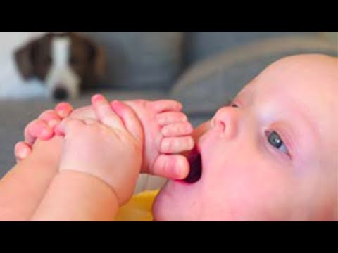 Sweet Babies doing funny things - Funniest Home Videos