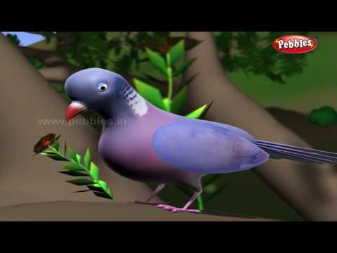 Animal Stories Collection in Gujarati | ગુજરાતી વાર્તાઓ | 3D Animal Moral Stories For Kids Gujarati