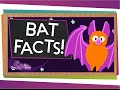 Understanding Bats