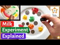 Magic Milk Experiment Concepts