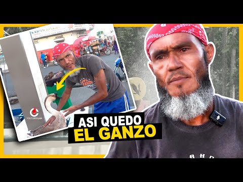 MIRA COMO QUEDO EL GANSO LOLO DESPUES DE SALIR // Le OFRECEN 100MIL POR EL GANSO LOLO