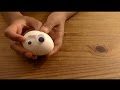 Egg Experiment and Chemical Reactions