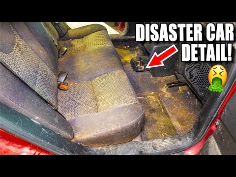 Cleaning a DISGUSTING Car Full of PEE!