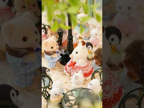 【シルバニア】✨アニバーサリーフレンズ -フレア＆テオ-✨〈公式〉#shorts #シルバニアファミリー #miniature