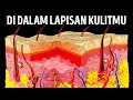 Understanding the Super Suit: Human Skin