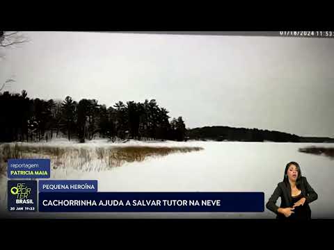 Cachorrinha ajuda a salvar tutor na neve