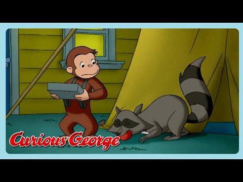 The Invisible Sound!  | Curioso come George | Cartoni animati di animali | WildBrain Italiano