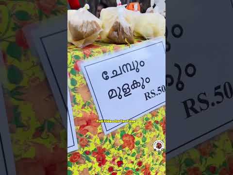 ബിവറേജിന് മുൻപിലാണ് ചേച്ചിയുടെ കുഞ്ഞ് കച്ചവടം #short #shorts #viral