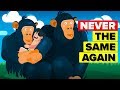 Evolutionary Traits and Events