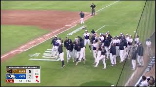 Victoria HarbourCats vs Bend Elks Highlights July 7, 2026