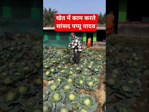 pappu yadav trending video #pappuyadav #trending #bihar #purnia #news #modi #rjd #bjp #jdu