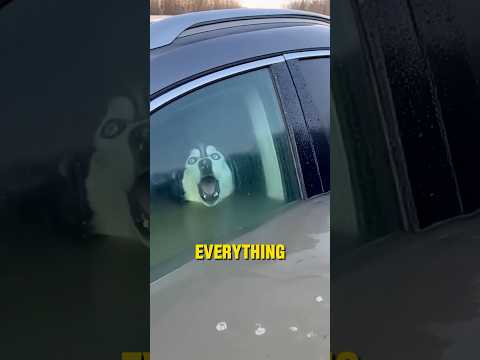 She Only Cared About Her Car… -Emergency rescue 🚨