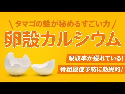 【専門家が解説】卵の殻で骨量が上がる？すごい力を秘めた「卵殻カルシウム」 ～ぎゅっと！タマゴ～