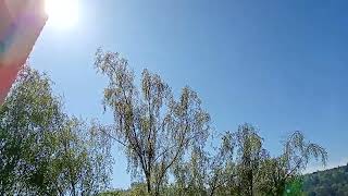 ZWEI NEUE HOCHEINFLÜSSE, UND EINES DAVON BRINGT ERNEUTES SONNIGES WETTER IN DEN TAGEN. 25.4.2026.🌞